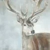 LBD Stag Study II By Jacob Lincoln