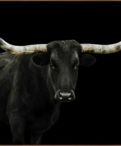 LBD Longhorn 4 By Adam Mowery BLACK 28 LBD Longhorn 4 By Adam Mowery BLACK