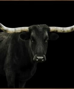 LBD Longhorn 4 By Adam Mowery (custom Size)