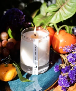 WF HYGGE HEMMINGWAY'S GARDEN