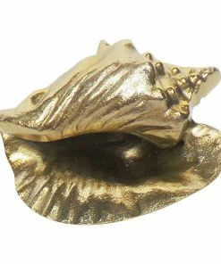 SB GOLD CONCH SHELL NEWEST