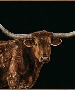 LBD Bigger In Texas By Adam Mowery