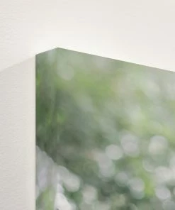 LBD Step Inside I By Alicia Bock