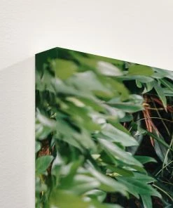 LBD Number 17 By Alicia Bock