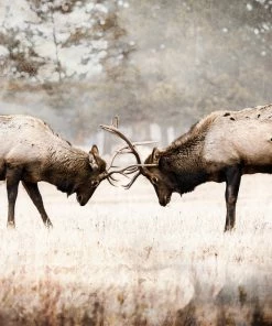 LBD The Rut By Brandon Luther WALL ART