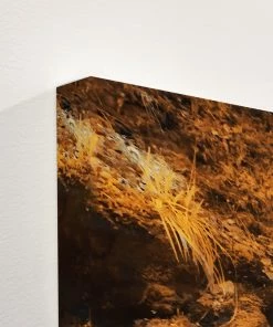 LBD SKY & WATER Wat'ir By David Keochkerian