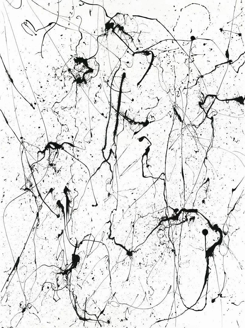 LBD Pure Chaos By Edward Nader 3 LBD Pure Chaos By Edward Nader