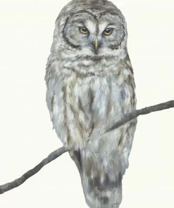 LBD JAPANDI Spencer By Ann Duffy