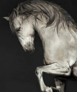 LBD BLACK Mystico By Jacob Lincoln