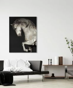 LBD BLACK Mystico By Jacob Lincoln