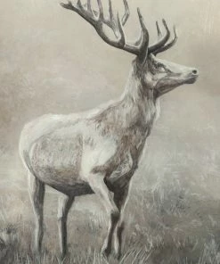 LBD Stag King By Jacob Lincoln
