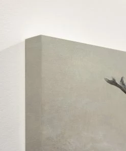 LBD Stag King By Jacob Lincoln