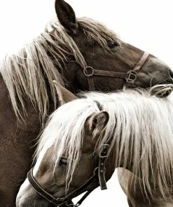 LBD WALL ART The Endearment By Sofia Fox