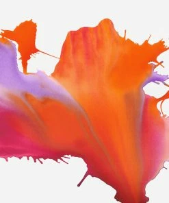 LBD A Fire In My Soul I By Van Garret