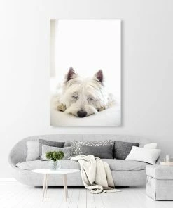 LBD Sweet Dream Forever By Karyn Millet