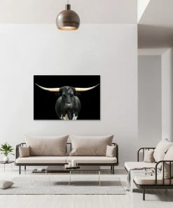 LBD Black And White Longhorn By Adam Mowery
