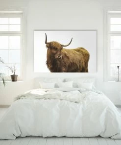 LBD Highland Cattle II By Adam Mowery