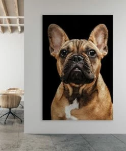 LBD Maizie By Adam Mowery WALL ART