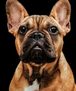 LBD Maizie By Adam Mowery WALL ART