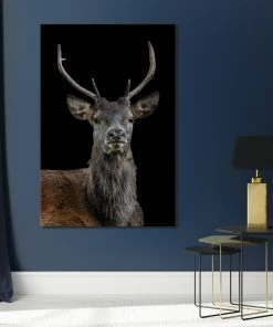 LBD The Scotsman By Adam Mowery