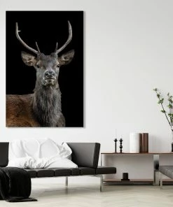 LBD The Scotsman By Adam Mowery