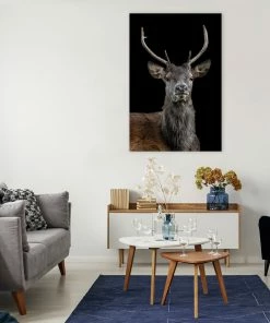 LBD The Scotsman By Adam Mowery