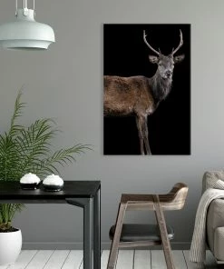 LBD Scotish Red Deer II By Adam Mowery