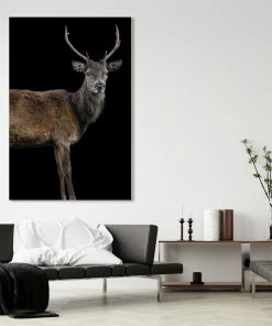 LBD Scotish Red Deer II By Adam Mowery