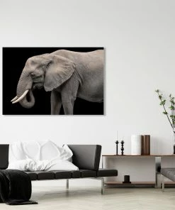 LBD Elephant II By Adam Mowery BLACK