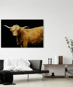 LBD Highland Cattle On Black By Adam Mowery