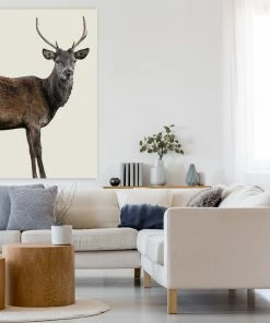 LBD WALL ART Scotish Red Deer III By Adam Mowery