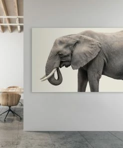 LBD Elephant III By Adam Mowery