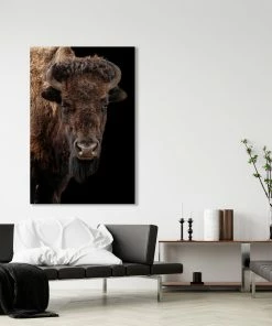 LBD Buffalo On Black III By Adam Mowery