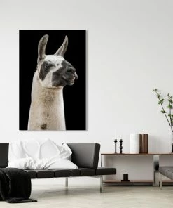 LBD Llama I By Adam Mowery