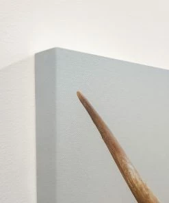 LBD WALL ART Misty Morning III By Adam Mowery