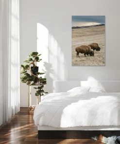LBD WALL ART Home On The Range By Adam Mowery