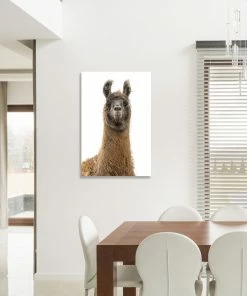 LBD Llama Pack II By Adam Mowery WALL ART