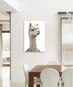 LBD Llama Pack III By Adam Mowery WALL ART
