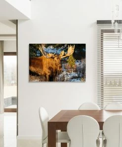 LBD Majestic II By Adam Mowery