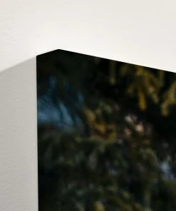 LBD Majestic II By Adam Mowery