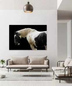 LBD Trusted Steed By Adam Mowery