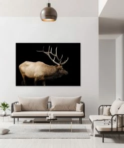 LBD The Rut By Adam Mowery BLACK