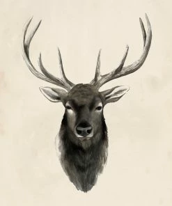 LBD WALL ART Western Animal IV