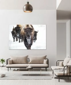 LBD Snow Dust By Curt & Stacy Howell WALL ART