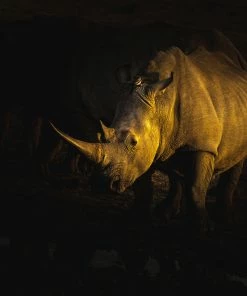 LBD Fade To Black By Curt & Stacy Howell