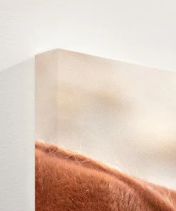 LBD Mane Story By Curt & Stacy Howell