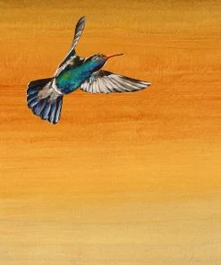 LBD Quartered VI WALL ART