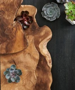 TXD TAKARA LIVE EDGE SHELF