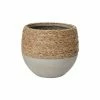 AD REED POT