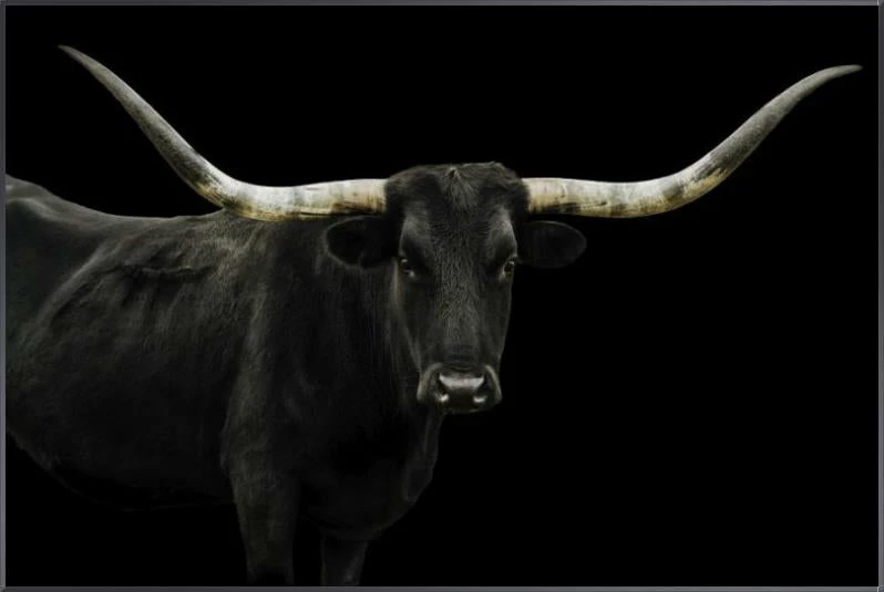 LBD Longhorn 4 By Adam Mowery BLACK 10 LBD Longhorn 4 By Adam Mowery BLACK